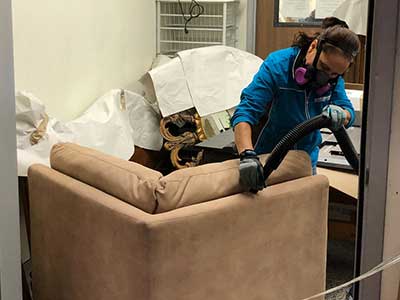 furniture mold removal